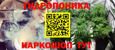 гашик Ликино-Дулёво