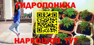 гашик Ликино-Дулёво