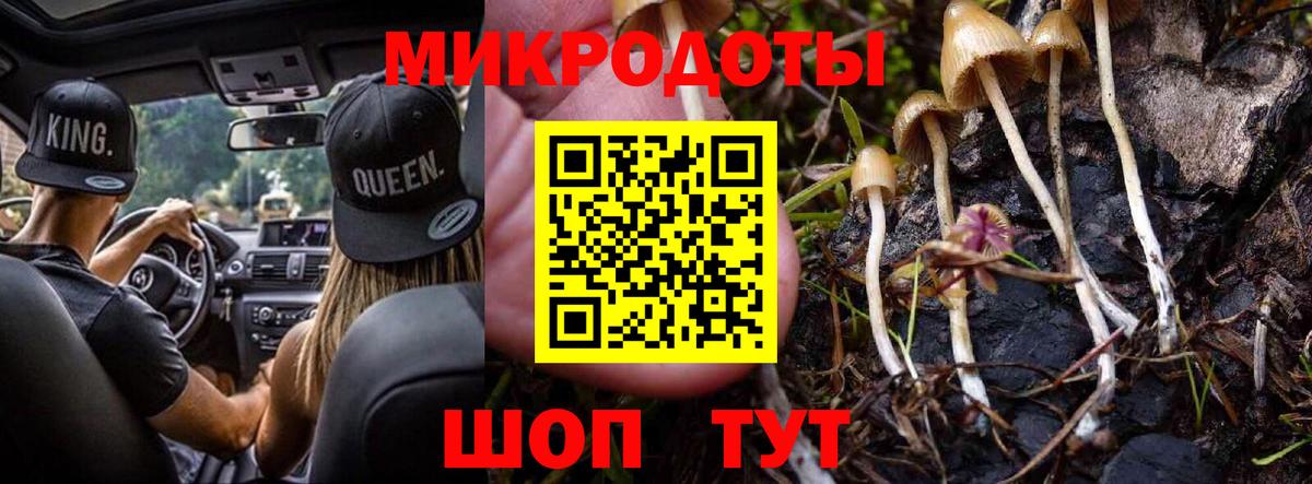 Галлюциногенные грибы мицелий  магазин    Городец  Псилоцибиновые грибы Cubensis  Вход с VPN 
